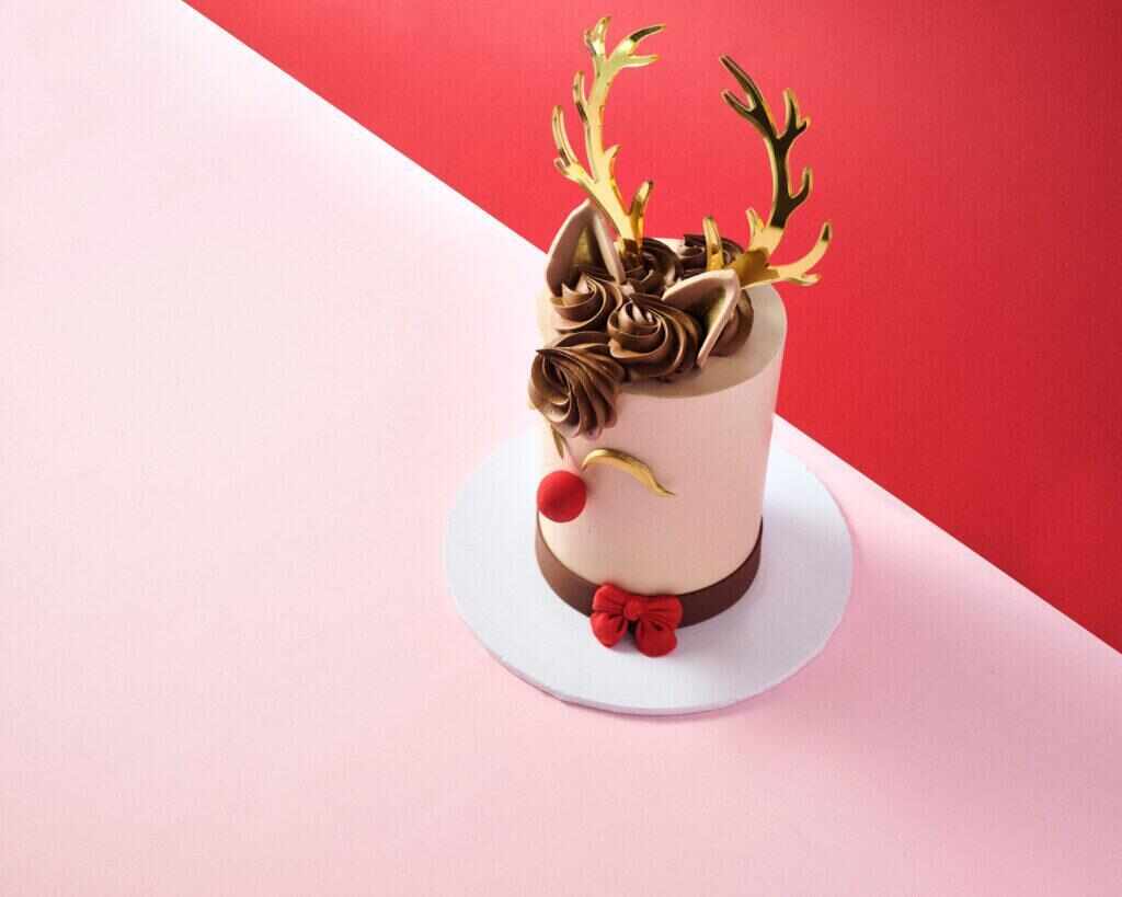 Reindeer Christmas Cake