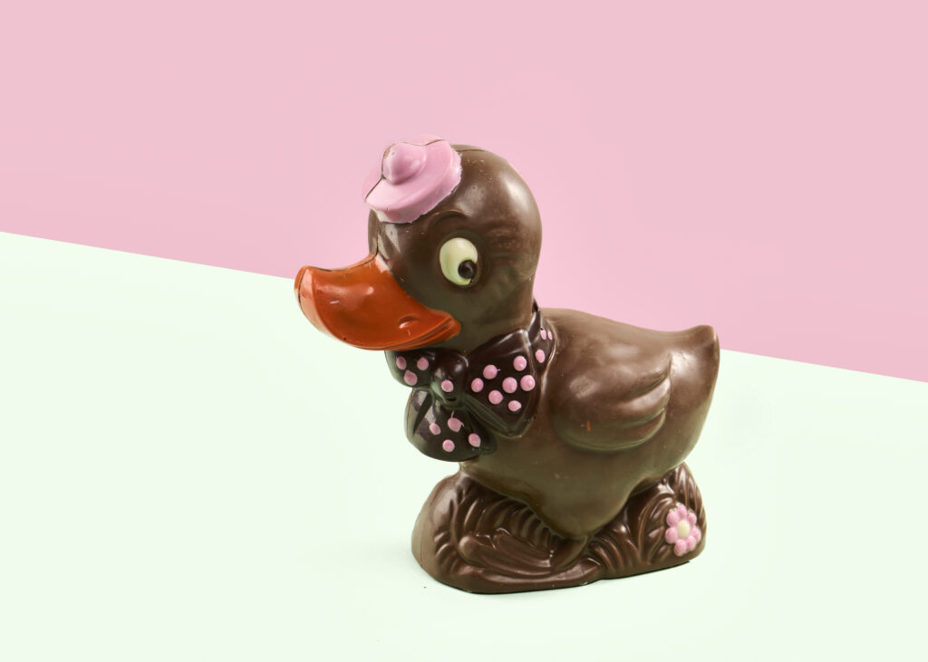 Chocolate Duck